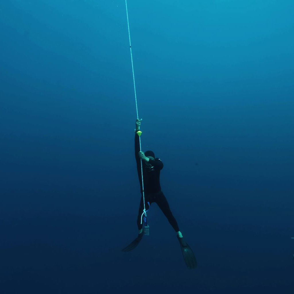 cover freediving 2